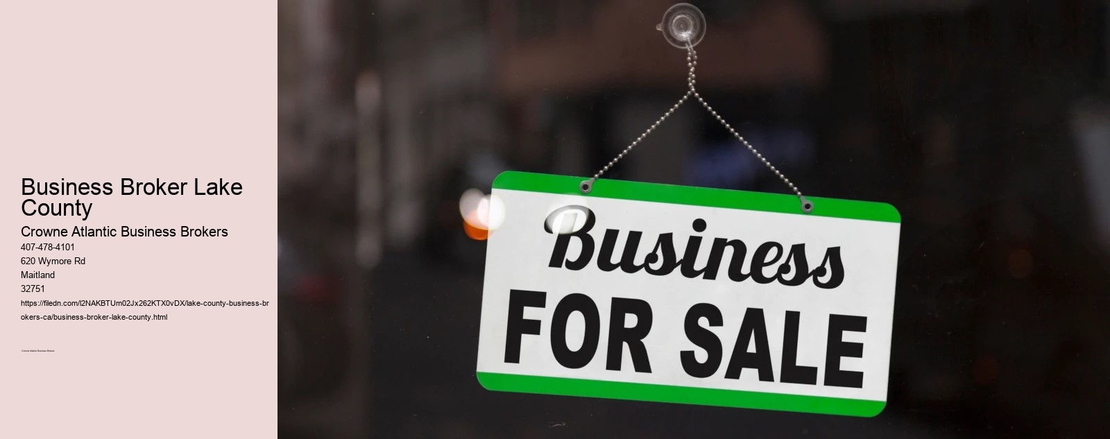 Business Broker Lake County